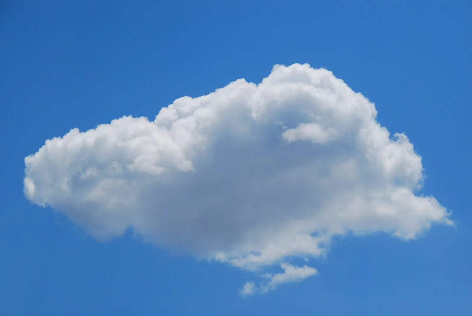 AI Cloud in 2026: The Guide for US Businesses