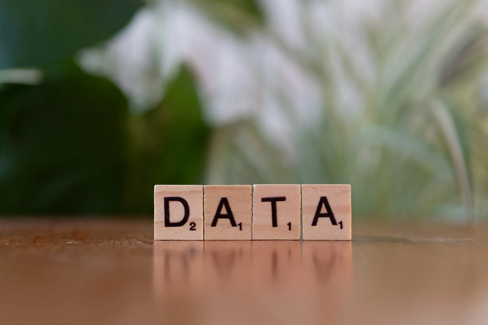 Data Breach: What It Is, How It Happens, and How to Avoid It